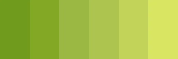 Bay Leaf
