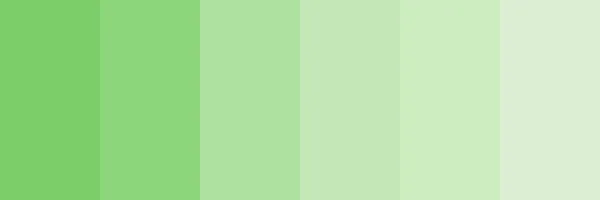 Bright Eucalyptus