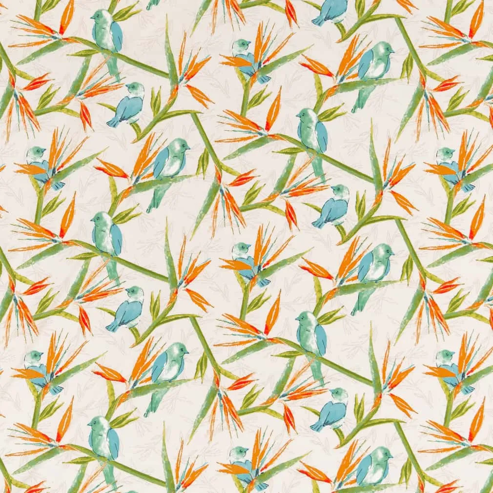 Birds of Paradise 1
