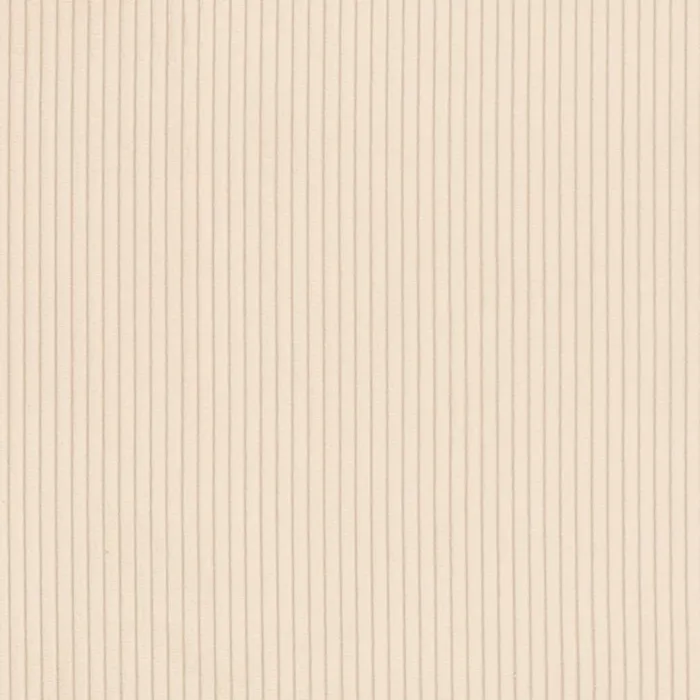 Corduroy 1