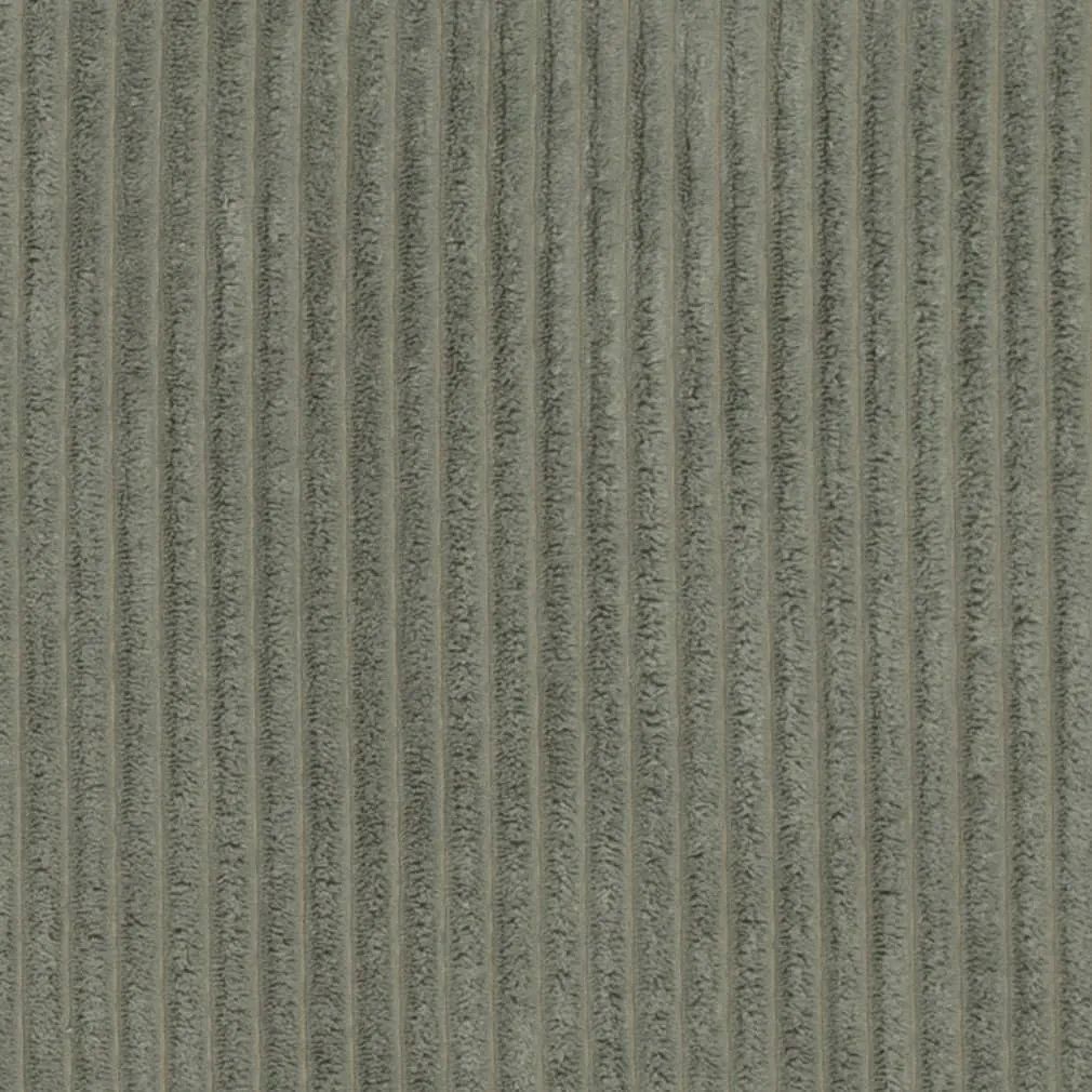 Corduroy 3